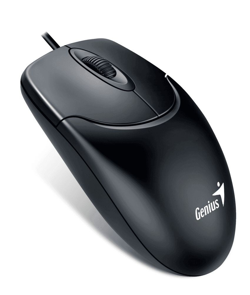 Genius NetScroll 120 V2, Mouse USB,RU,! BLACK,G5