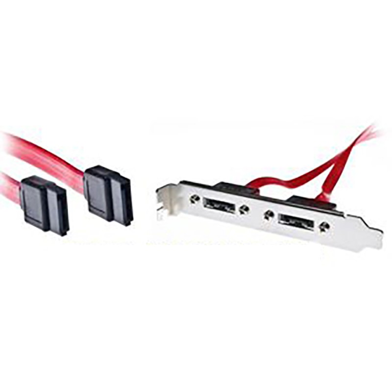 EasyTouch 2x e-SATA Bracket Extension (internal) | ET-9085